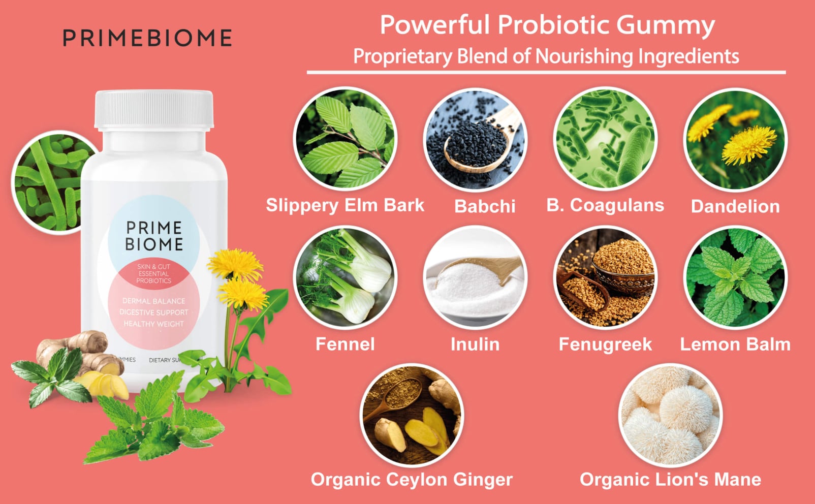 PrimeBiome Ingredients - best probiotic for bloating & skin